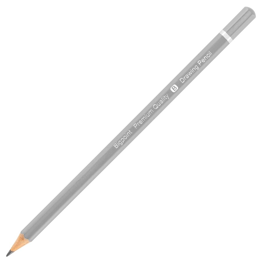 BİGPOİNT BP947-01 DERECELİ KALEM B