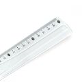 CASSA 8306 PLASTİK CETVEL 30 CM 12'Lİ