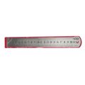 BİGPOİNT BP360-02 ÇELİK CETVEL 20 CM 12'Lİ KUTU
