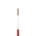 BİGPOİNT BPF145-05 145 SERİSİ MİDİLLİ KILI YUVARLAK FIRÇA NO: 5 12'Lİ KUTU
