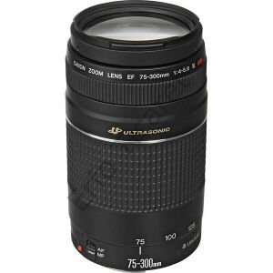 Canon EF 75-300mm f4-5.6 III USM Lens