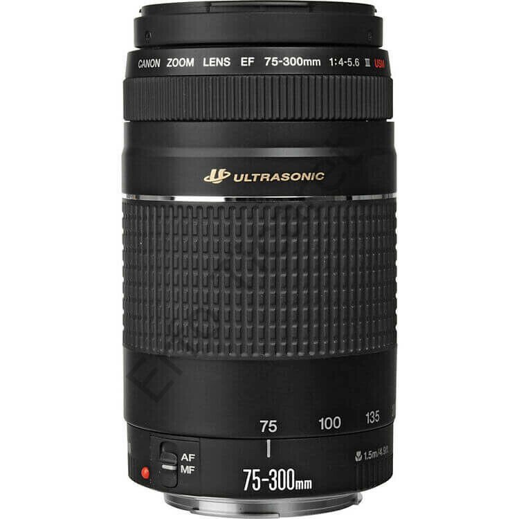 Canon EF 75-300mm f4-5.6 III USM Lens