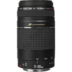 Canon EF 75-300mm f4-5.6 III USM Lens