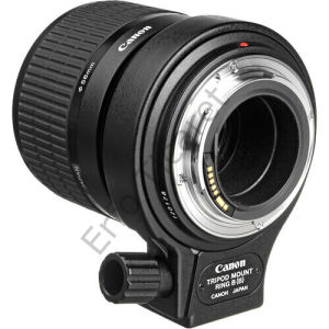 Canon MP-E 65mm f/2.8 1-5x Macro Lens