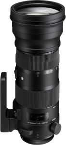 Sigma 150-600mm F5-6.3 DG OS HSM Lens (Canon EF)