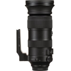Sigma 60-600mm F4.5-6.3 DG OS HSM Sports Lens (Canon)