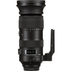 Sigma 60-600mm F4.5-6.3 DG OS HSM Sports Lens (Canon)