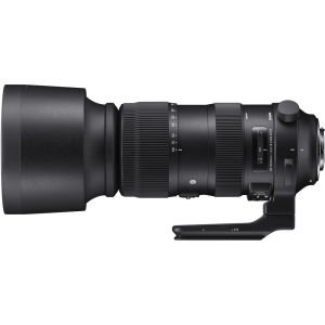 Sigma 60-600mm F4.5-6.3 DG OS HSM Sports Lens (Nikon)