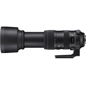 Sigma 60-600mm F4.5-6.3 DG OS HSM Sports Lens (Nikon)