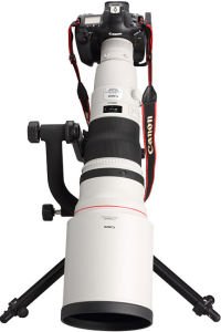 Canon RF 600mm f  4L IS USM Lens