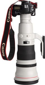 Canon RF 600mm f  4L IS USM Lens