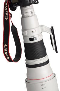 Canon RF 600mm f  4L IS USM Lens