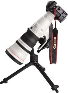 Canon RF 600mm f  4L IS USM Lens