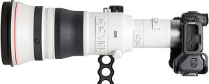 Canon RF 800mm f5.6 L IS USM Lens