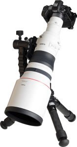 Canon RF 800mm f5.6 L IS USM Lens
