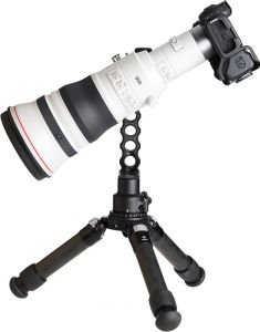 Canon RF 800mm f5.6 L IS USM Lens