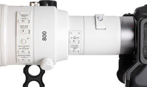 Canon RF 800mm f5.6 L IS USM Lens
