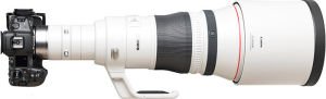 Canon RF 800mm f5.6 L IS USM Lens