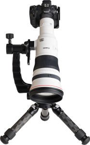 Canon RF 800mm f5.6 L IS USM Lens