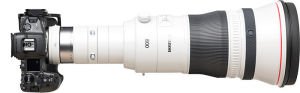 Canon RF 800mm f5.6 L IS USM Lens