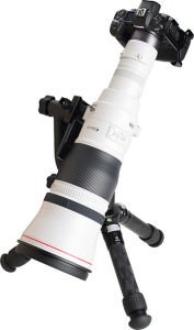 Canon RF 1200mm f8 L IS USM Lens