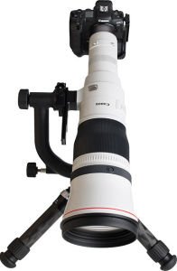Canon RF 1200mm f8 L IS USM Lens