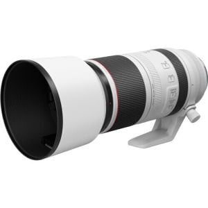 Canon RF 100-500mm f  4.5-7.1L IS USM Lens