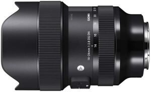 Sigma 14-24mm F/2.8 DG DN Art Lens (Sony E)