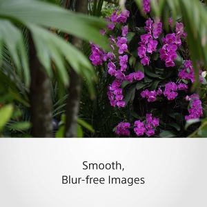 Sony E 55-210mm f4.5-6.3 OSS Lens (SEL55210)