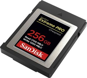 SanDisk 256GB Extreme PRO CFexpress Type B Hafıza Kartı