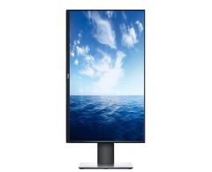 Dell 23'' P2319H 5ms FHD Vga Hdmi Dp Pivot IPS