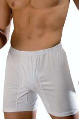 Erkek Süper Arjantin Boxer 05