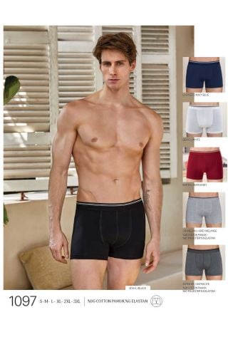 BERRAK ERKEK BOXER 1097