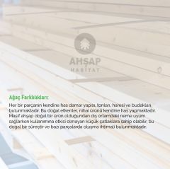 Bench Giriş Ahşap Oturak Dekoratif Doğal Ahşap Hall