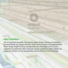 Masif Ahşap Kubbe VİTRİN Doğal Ahşap Oval Büfe Vitrin Ahşap Kitaplık