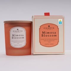 MIMOSA BLOSSOM Vegan Mum