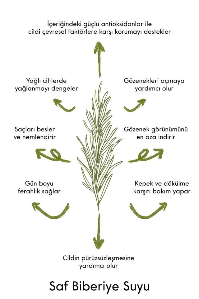 Organik Biberiye Suyu Kepek Ve Dökülme Karşıtı, Cilt Temizleyici, Yağlanma Dengeliyici