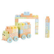 Mega Block 50 Pieces in a Full Box