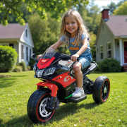 Dolu 12V Akülü Motor