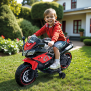 CYCLE 12 VOLT MOTOR 2 TEKER