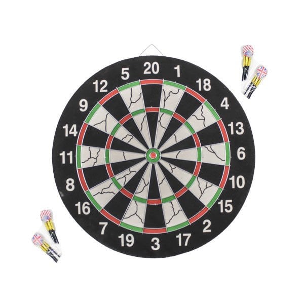 Can Profesyonel Dart