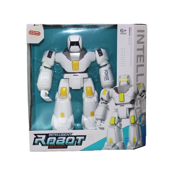 Toysan Akıllı Robot