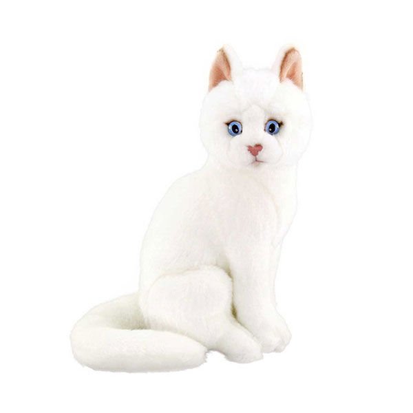 Animals Of The World Oturan Beyaz Kedi