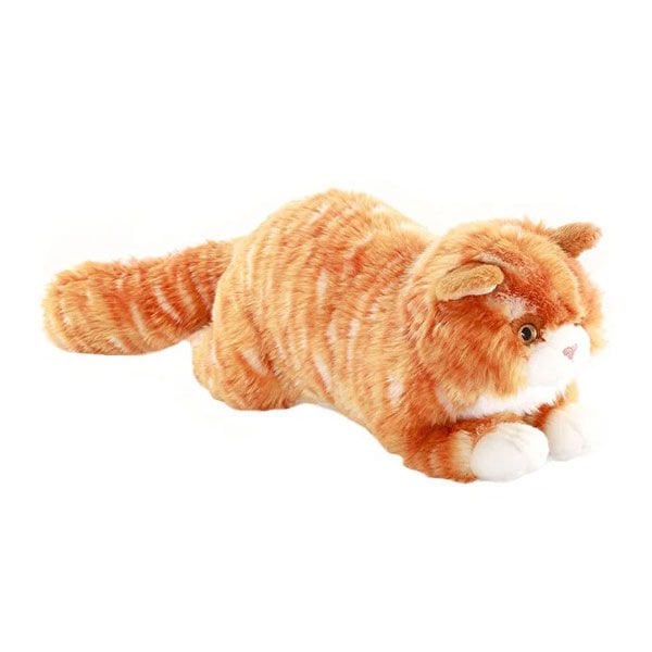 Animals Of The World Yatan Tekir Kedi
