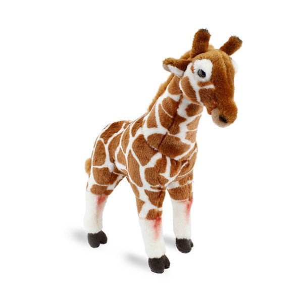 Animals Of The World Zürafa