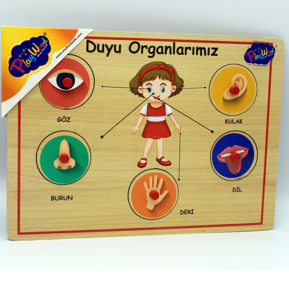 Play Wood Ahşap Tutmalı Organlar