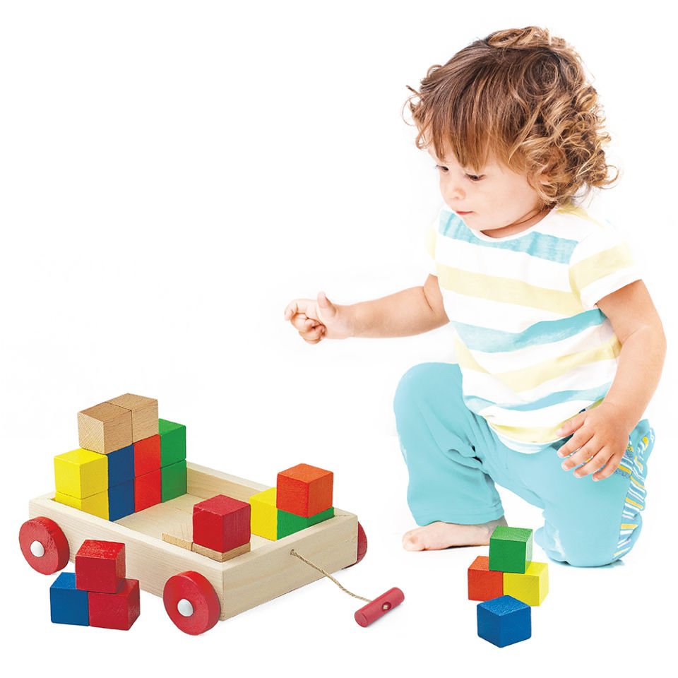 Play Wood Kutuda Ahşap Renkli Küp Bloklu Araba