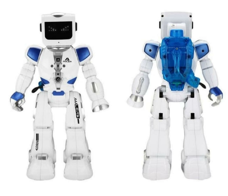 Canem Çok Fonksiyonlu Robot