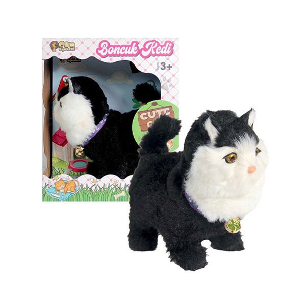 Can Boncuk Kedi