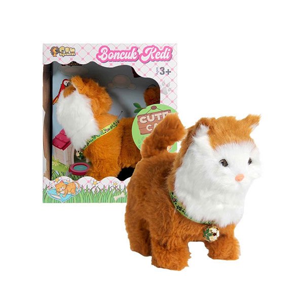 Can Boncuk Kedi